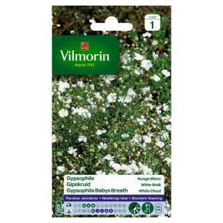 vilmorin-gypsophile-nuage-blanc-entretien-du-jardin-semences-de-fleurs