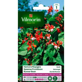 vilmorin-haricot-espagne-varié-entretien-du-jardin-semences-de-fleurs