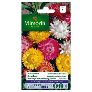 vilmorin-immortelle-à-bractées-double-variée-entretien-du-jardin-semences-de-fleur