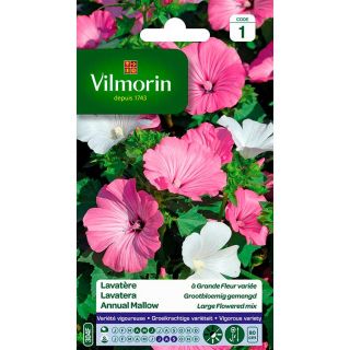 vilmorin-lavatère-à-grande-fleur-variée-entretien-du-jardin-semences-de-fleur