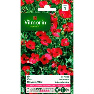 vilmorin-lin-de-venise-entretien-du-jardin-semences-de-fleur