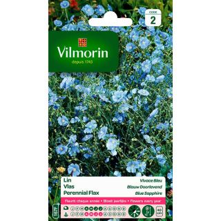 vilmorin-lin-vivace-bleu-entretien-du-jardin-semences-de-fleur