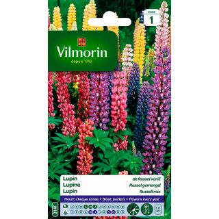 vilmorin-lupin-de-russel-varié-entretien-du-jardin-semences-de-fleurs