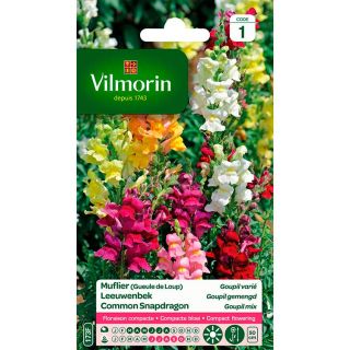 Vilmorin-Muflier-Gueule-de-Loup-Goupil-Varié-graines-de-fleurs