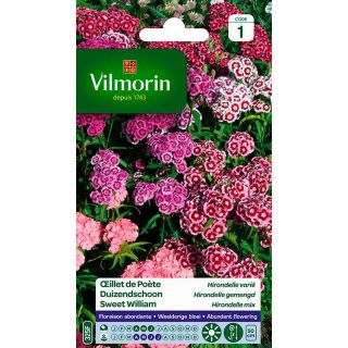 vilmorin-oeillet-de-poète-hirondelle-varié-entretien-du-jardin-semences-de-fleurs