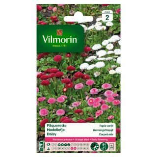 Vilmorin-Pâquerette-tapis-variée-graines-de-fleurs