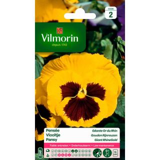 Vilmorin-pensée-Géante-Or-du-Rhin-graines-de-fleurs