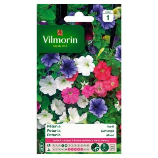 Vilmorin-pétunia-varié-graines-de-fleurs