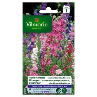 vilmorin-pied-alouette-impérial-géant-double-varié-entretien-du-jardin-semences-de-fleurs