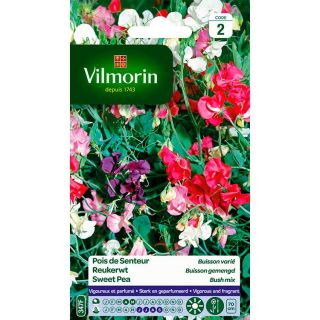 vilmorin-pois-de-senteur-buisson-varié-entretien-du-jardin-semences-de-fleurs
