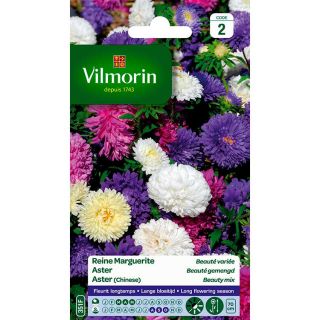 vilmorin-aster-beauté-variée-entretien-du-jardin-semences-de-fleurs