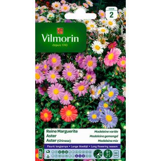 vilmorin-reine-marguerites-madeleine-variée-entretien-du-jardin-semences-de-fleurs