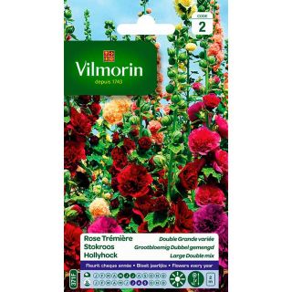 vilmorin-rose-trémière-double-grande-variée-entretien-du-jardin-semences-de-fleurs