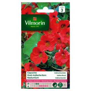 Vilmorin-capucine-valina-ecarlate-graines-de-fleurs