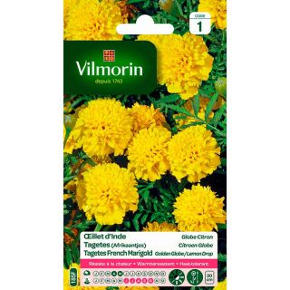 Vilmorin-Œillet-d-Inde-Globe-Citron-graines-de-fleurs-jaunes