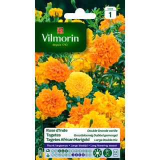 vilmorin-rose-inde-double-grande-variée-entretien-du-jardin-semences-de-fleurs