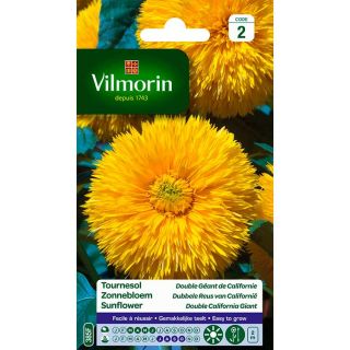 vilmorin-tournesol-double-géante-de-californie-entretien-du-jardin-semences-de-fleurs