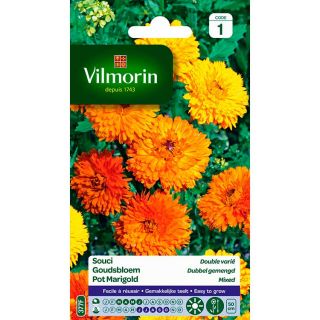 vilmorin-souci-double-varié-entretien-du-jardin-semences-de-fleurs