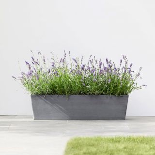 ecopots-bruges-gris-différentes-tailles-pot-de-fleurs