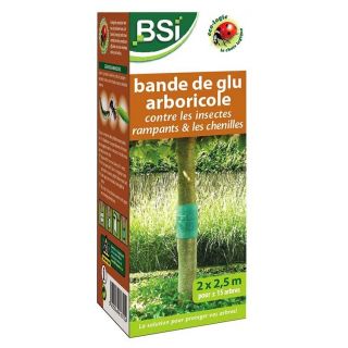 BSI-bandes-de-glu-arboricoles-contre-chenilles