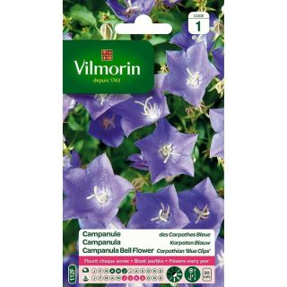 vilmorin-graines-de-fleurs-campanule-des-carpathes-bleue-0-5-g