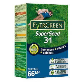 Evergreen-Superseed-3-en-1-2kg-semences-engrais-calcium