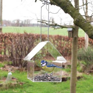 Mangeoire de fenêtre bilbao pour oiseaux de ciel transparent - Laroy Group