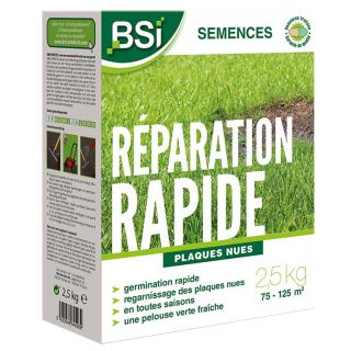 bsi-semences-reparation-rapide-plaques-nues-gazon-2-5-kg