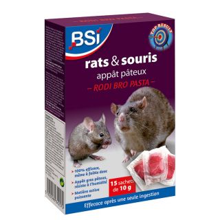 Pâtes Anti-Rats et Souris - KB HOME DEFENSE - RSOUPAT - Action radicale -  Lieux secs et humides - Cdiscount Jardin