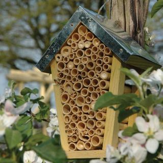Hôtel-d'insectes-abeilles-nature-arbre-nid-abri-d'abeilles