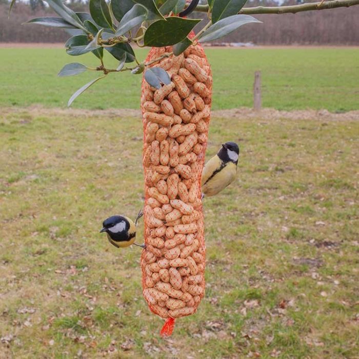 Chaîne de cacahuètes pour oiseaux