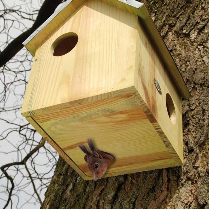 Boîte d'alimentation d'écureuil, maison d'alimentation d'écureuil avec  couverture verte, robuste et durable, panneau avant amovible