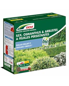 DCM-Engrais-Ilex-Osmanthus-&-Arbustes-à-Feuilles-Persistantes-3-kg