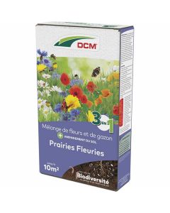 dcm-prairies- fleuries-510-g-fleurs-et-graminées