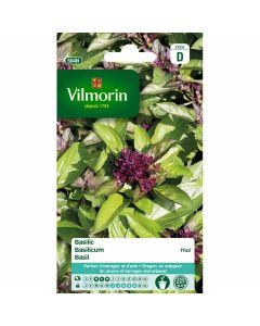 Vilmorin-Thaïse-basilicum