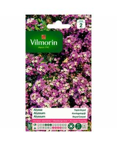 Vilmorin-graines-de-fleurs-alysse-Tapis-Royal