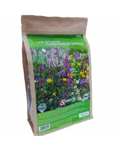 Somers-fleurs-annuelles-couvre-sol-50m²-entretien-du-jardin-graines