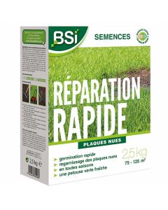 bsi-semences-reparation-rapide-plaques-nues-gazon-2-5-kg