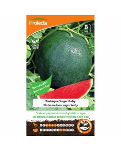 watermeloen-zaad-sugar-baby-kweken-biologisch-protecta-ecostyle-reproduceerbaar-zoete-meloen