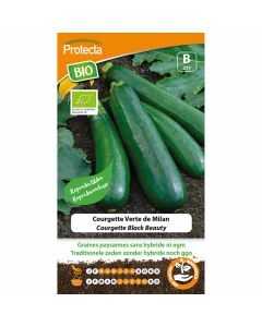 courgettezaden-bio-black-beauty-groentezaad-moestuinzaden-protecta-ecostyle-biologisch