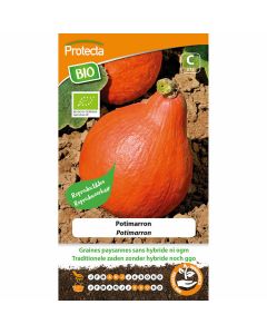 potimarron-pompoenzaden-groentezaden-zaaien-kweken-eenvoudig-beginnende-tuinier-biologisch-protecta-ecostyle