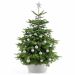 ecopots-kerstboomstandaard-met-versierde-kerstboom-kleur-witgrijs