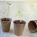 Pots-Semis-Biodégradables-Rond-6-cm-18-pièces-Fibres-de-Bois-Naturel